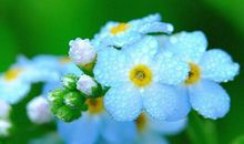 2020古风短句说说 美到窒息的古风短句