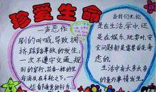 关于生命的英语格言