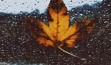 对老公失望心寒的句子说说心情