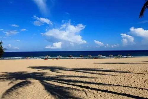 每天都有进步是正常的