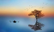 对亲情失望心凉的句子