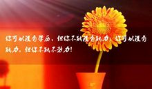 心灵鸡汤正能量经典语录励志短文