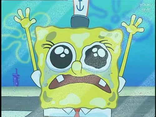 您必须贡献出您的真诚的爱