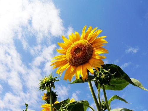 希望你天天开心的句子 1