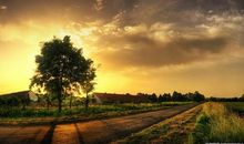 表达思念亲情的句子