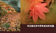 美丽人生的名人名言