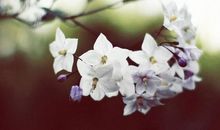 青春努力拼搏的句子