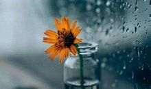 痛苦的文案 抑郁崩溃的文案