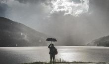 对一个老板失望的句子