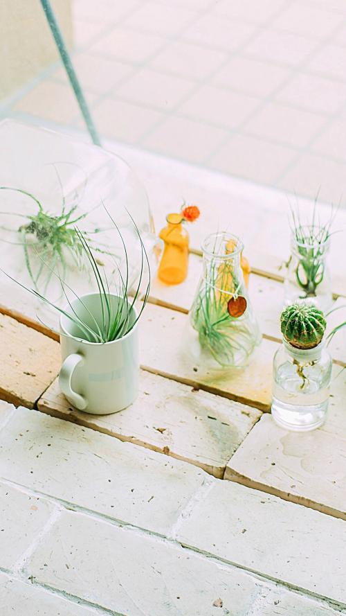 编辑编辑了一些有关幸福和幸福传染的句子