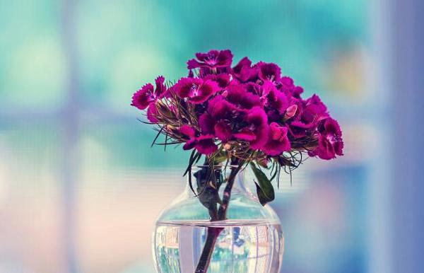 以下是小编编的一句话