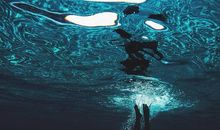 对领导心寒失望的句子