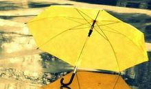 对家人失望难过的句子