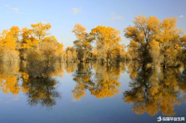 世界对你来说是美丽的