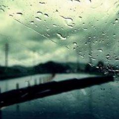 以下是由编辑为每个人编写的令人失望的句子