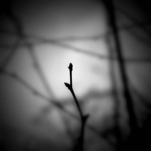 我的爱走了很长一段路