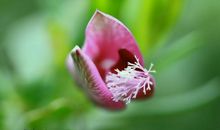 亲情伤人心的句子