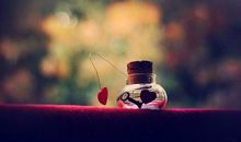 形容相遇的唯美句子