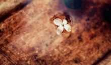 数学标语 数学标语和数学口号