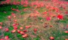 2020最新最霸道的表白句子