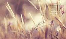 关于要女朋友开心的句子说说