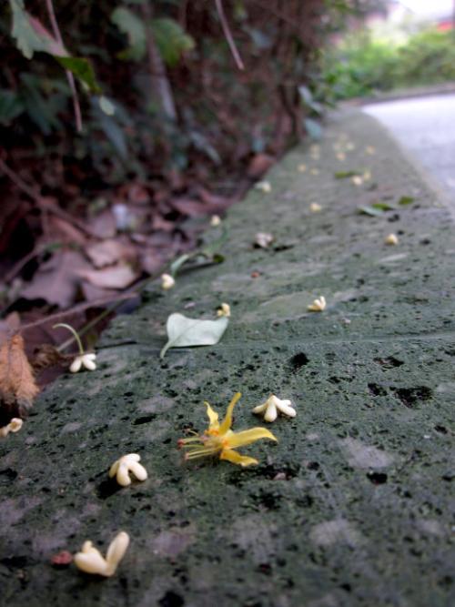 以下是由编辑为每个人编写的令人失望的句子