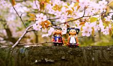 关于樱花的个性签名