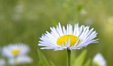 你能不能开心起来的句子