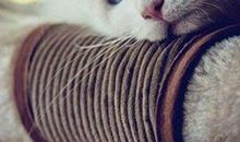 压抑的心痛的句子