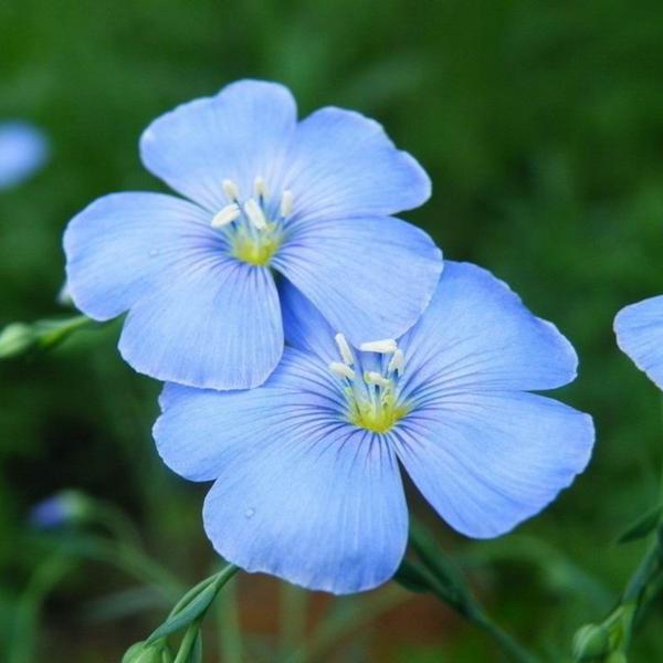 风带走了整个季节