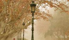 简简单单的幸福句子