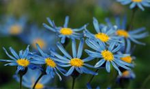 亲情暖人心的句子