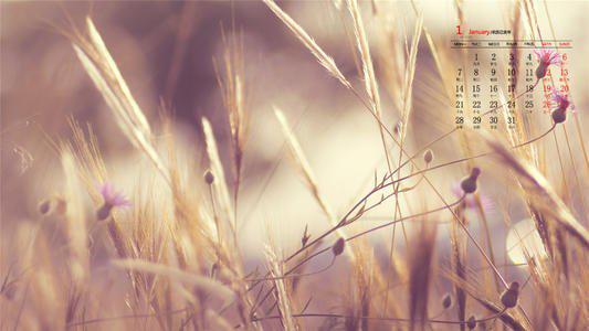 请欣赏编辑所编的关于接到爱人打来的电话的句子