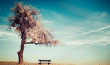 细节里的亲情句子