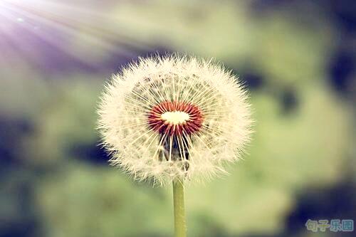 有很多敏锐的报价可以给我们勇气