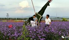 对亲情描述的句子