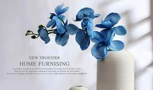 温暖人心的亲情句子大全