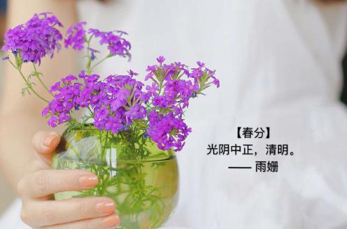 是二十四个节气之一