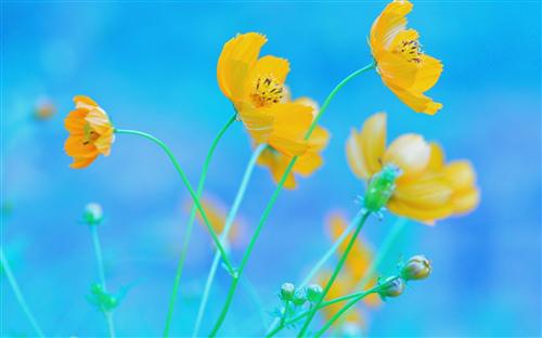 我们需要面对生活中的许多分歧