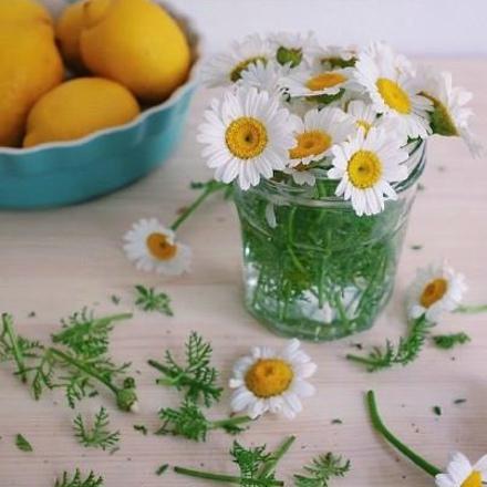 如何形容幸福和幸福