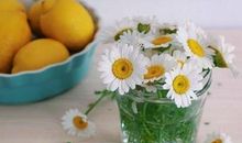 表示开心幸福的句子