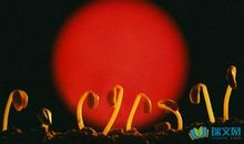 热爱生命的积极的句子