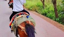 骑马发朋友圈怎么写 朋友圈骑马的配文