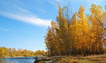 表示心烦气躁的句子