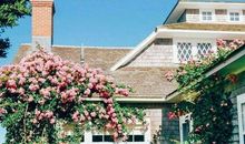 2019年最流行经典语录