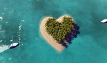 友情的句子：好朋友