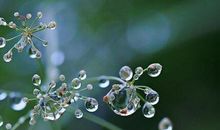 下雨天文艺句子