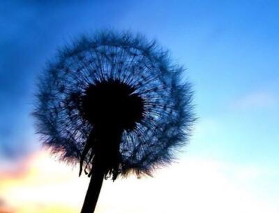 如果你不能在一起