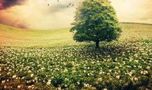 二年的心烦的句子