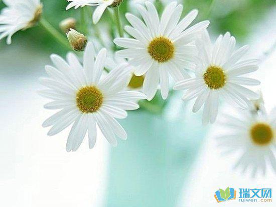 简介:学校是一个大团体